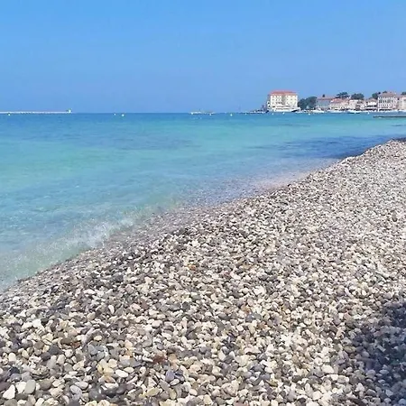 شقة Cupar بوريتش