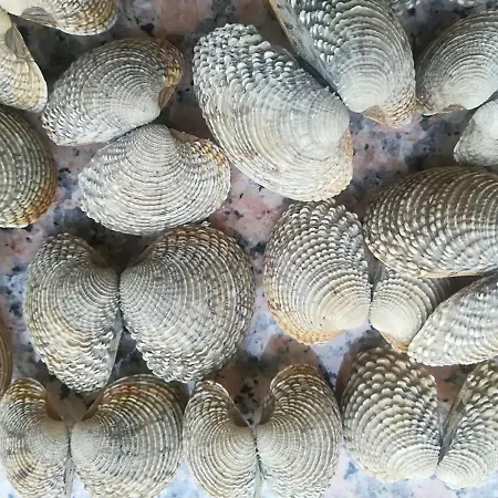 Cupar Апартаменти Пореч