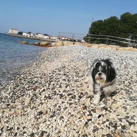 Апартаменти Cupar *