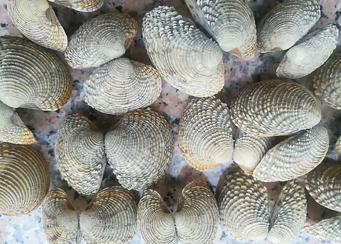 Cupar 公寓 波雷奇